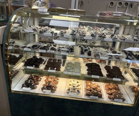 Chocolate Moose