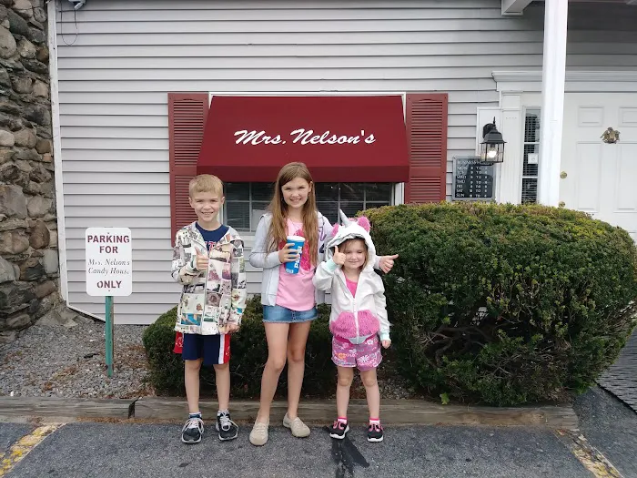 Mrs Nelson's Candy House Picture 6