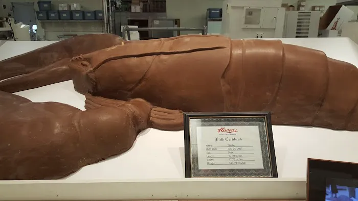 Haven's Candies Picture 10