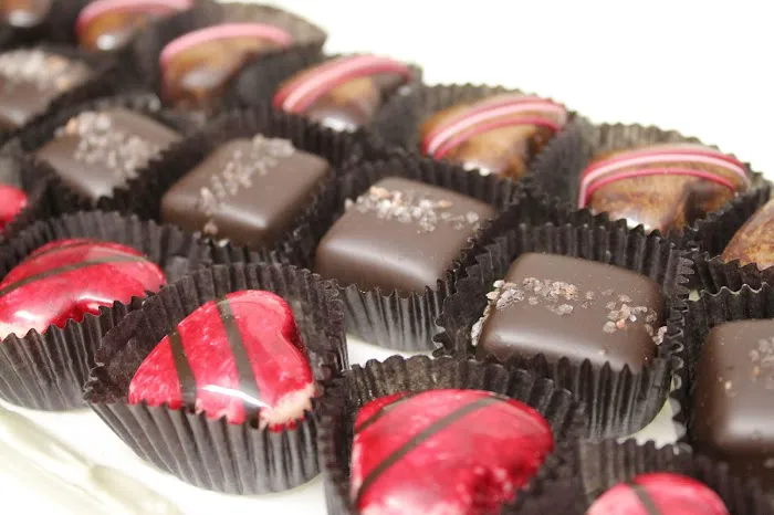 The Chocolate Shell Picture 3
