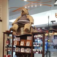 Rocky Mountain Chocolate Factory ico