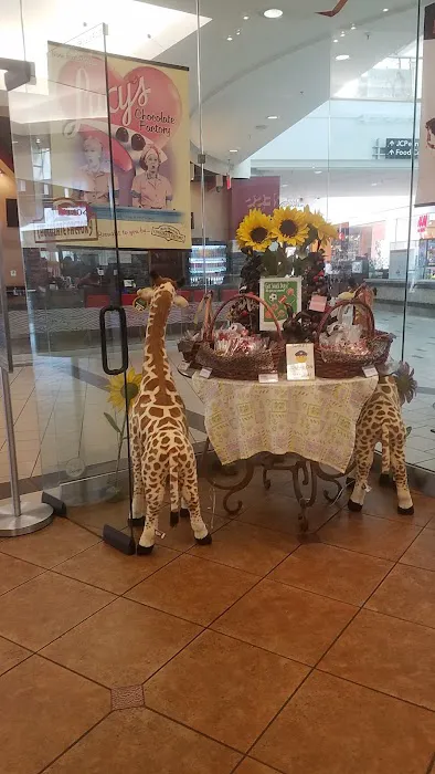 Rocky Mountain Chocolate Factory Picture 5