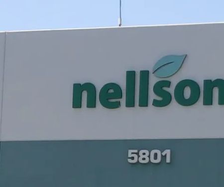 Nellson Candies Inc