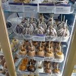 Rocky Mountain Chocolate Factory