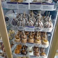 Rocky Mountain Chocolate Factory ico