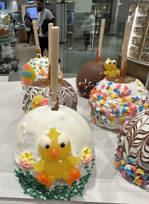 Rocky Mountain Chocolate Factory Picture 7