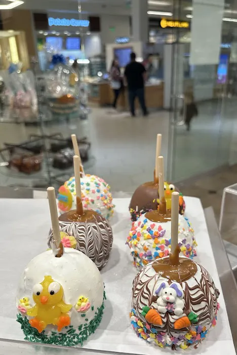 Rocky Mountain Chocolate Factory Picture 4