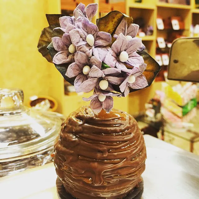 Rocky Mountain Chocolate Factory Picture 4