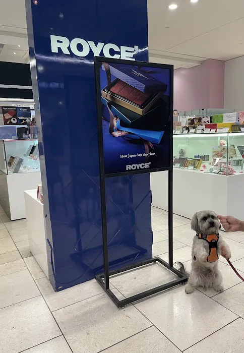 ROYCE' Chocolate in The Shops at Santa Anita Picture 1