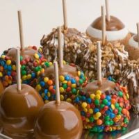 Rocky Mountain Chocolate Factory ico