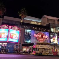 Ghirardelli Soda Fountain & Chocolate Shop ico