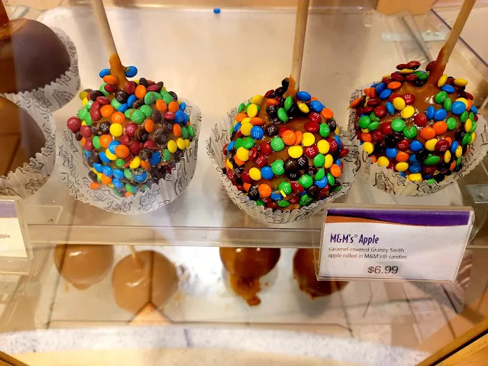 Rocky Mountain Chocolate Factory Picture 7