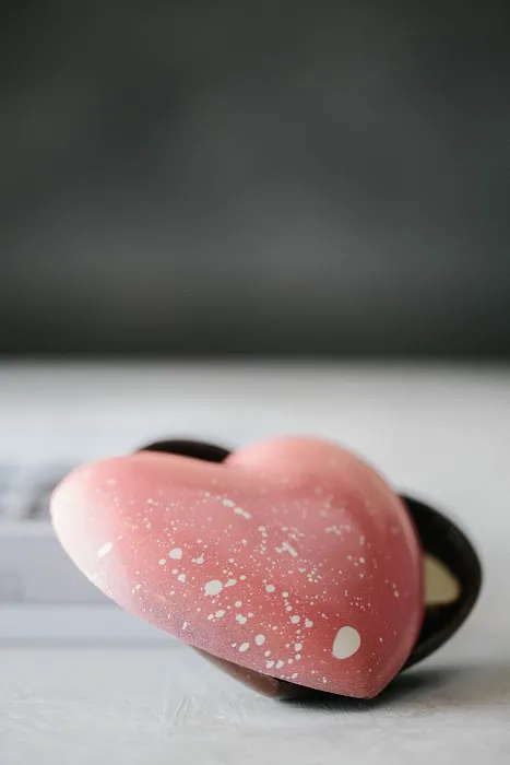 Dallmann Confections | Delicious Chocolate Picture 8