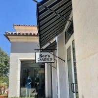 See's Candies ico