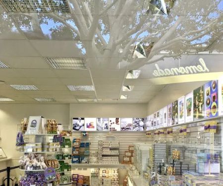 See's Candies