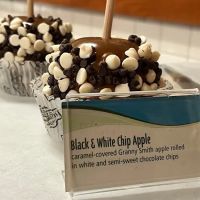 Rocky Mountain Chocolate Factory ico