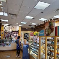 Rocky Mountain Chocolate Factory ico