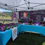 Magic Maggies Treats LLC