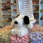Carousel Candy