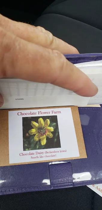 Chocolate Flower Farm Picture 1