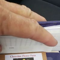 Chocolate Flower Farm ico