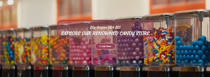 Lily Grapes USA LLC Picture 1