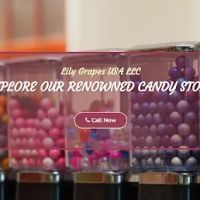Lily Grapes USA LLC ico