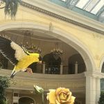 Bellagio Patisserie
