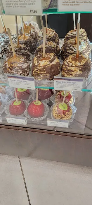 Rocky Mountain Chocolate Factory Picture 10