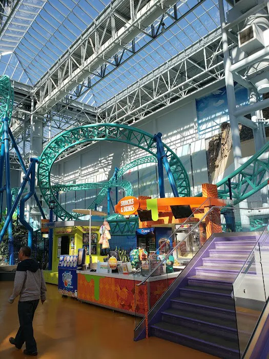 IT'SUGAR Mall of America Picture 4