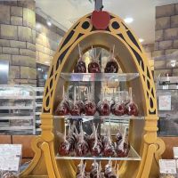 Disney's Candy Cauldron ico