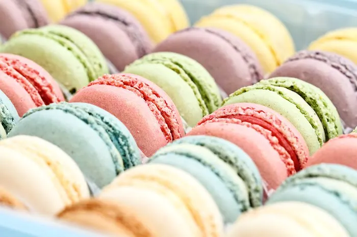 Annedore's Fine Chocolates Picture 8