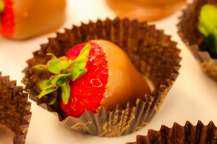 Rocky Mountain Chocolate Factory Picture 6