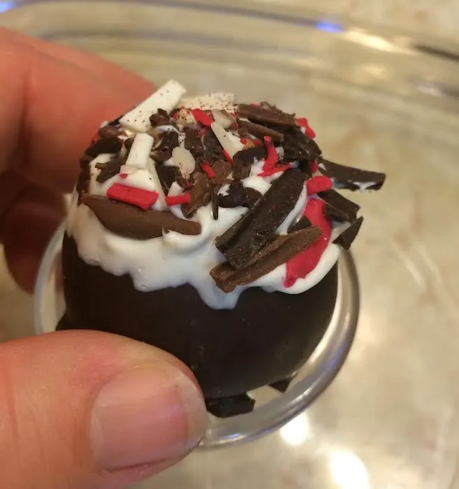 Chubby Chipmunk Hand Dipped Chocolates Picture 8