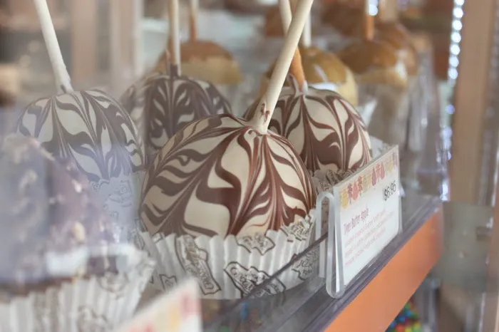 Rocky Mountain Chocolate Factory Picture 10