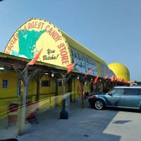 Minnesota's Largest Candy Store ico