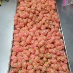 Lumberjack's Arctic Treats