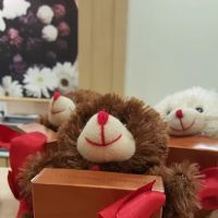 Rocky Mountain Chocolate Factory ico