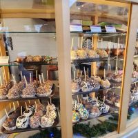 Rocky Mountain Chocolate Factory ico