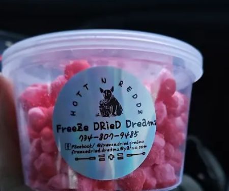 Freeze Dried Dreamz