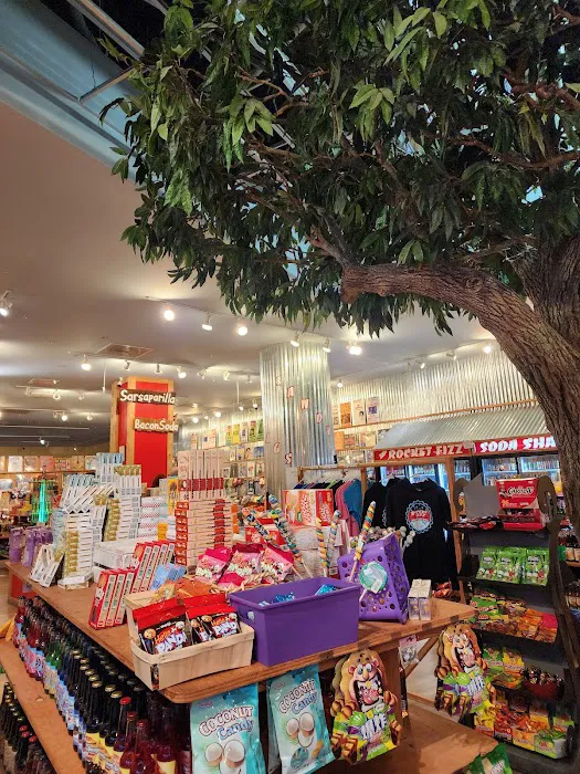 Rocket Fizz Picture 4