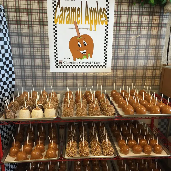 Chocolate Covered Wagon Picture 8