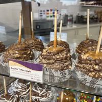 Rocky Mountain Chocolate Factory ico