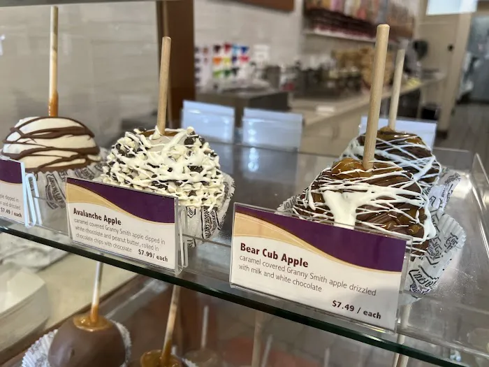 Rocky Mountain Chocolate Factory Picture 8