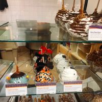 Rocky Mountain Chocolate Factory ico