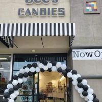 See's Candies ico