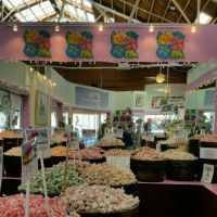 Carousel Taffy & Treats ico