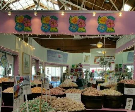 Carousel Taffy & Treats