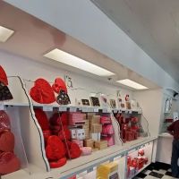 See's Candies ico