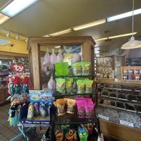 Marini's Candies ico